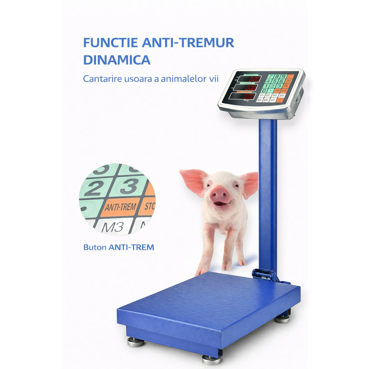 Cantar electronic cu platforma 500 kg, brat rabatabil, afisaj LCD, baterie interna